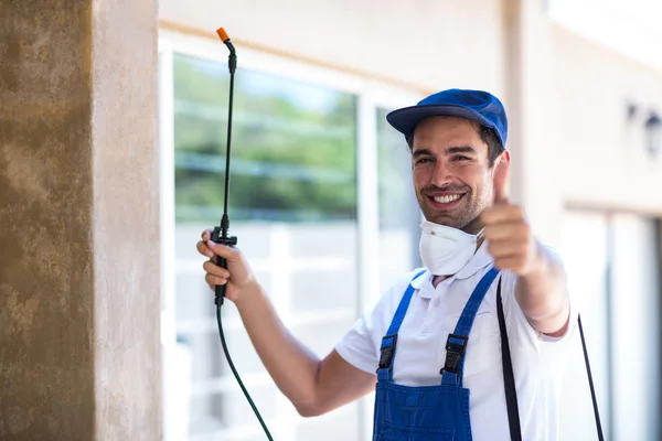 Rowland Heights Wasp Removal