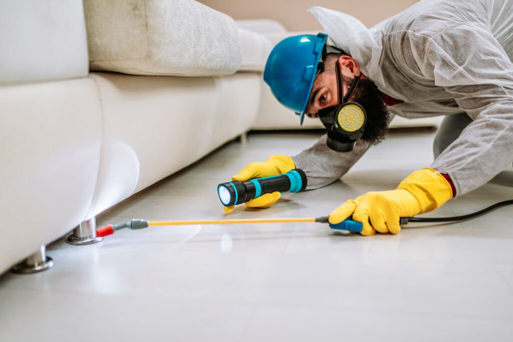 Rowland Heights Termite Control